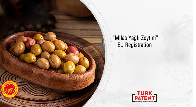 Milas Yağlı Zeytini Registered by the European Union