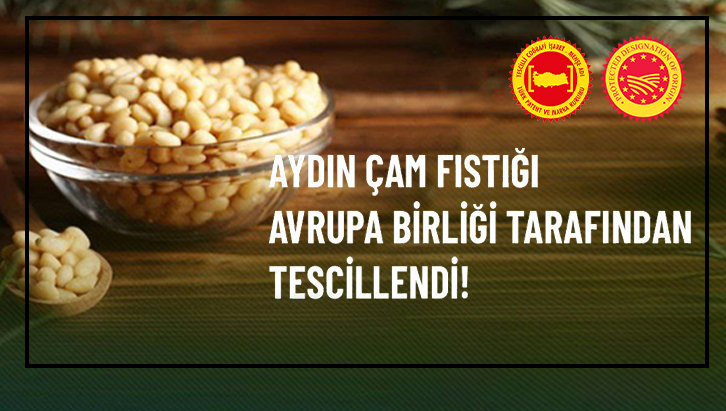 Aydın Çam Fıstığı Avrupa Birliği’nde Tescillendi!