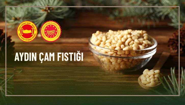 Aydın Çam Fıstığı (Pine Nut) Registered in the European Union!